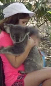 Koala